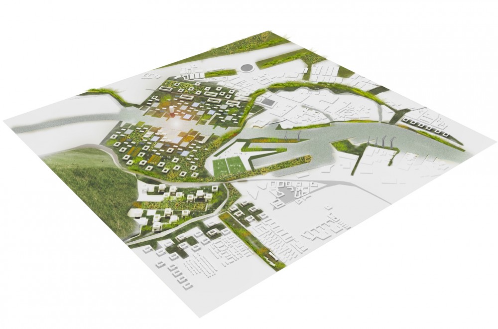 Active Cranes Research Proposal / JAPA