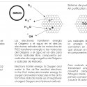 Active Cranes Research Proposal (13) Active Cranes Research Proposal (13) diagram 04