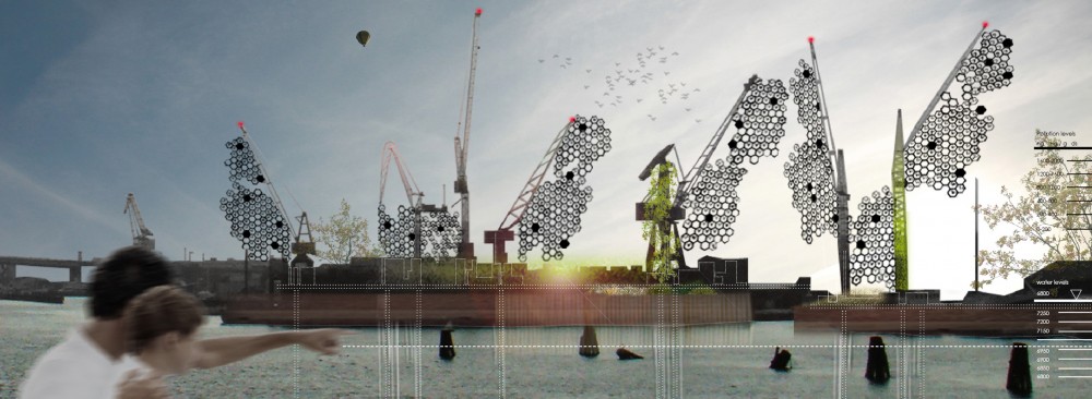 Active Cranes Research Proposal / JAPA
