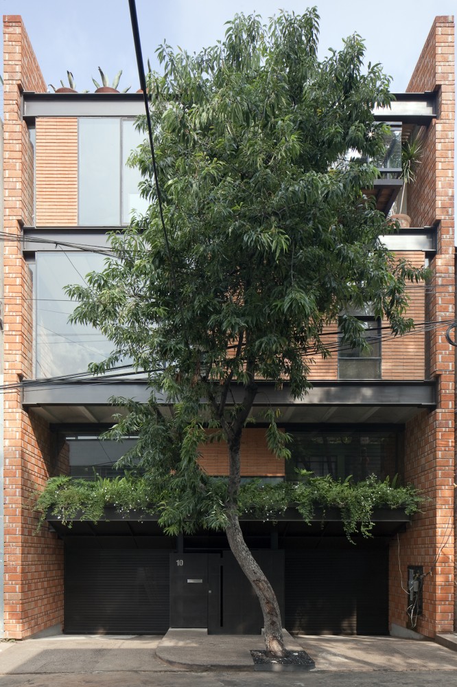 Ucello / Nicolás Vásquez