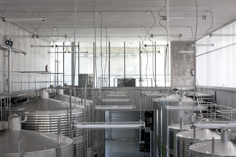 Montepedroso Wineyards / 3.14GA
