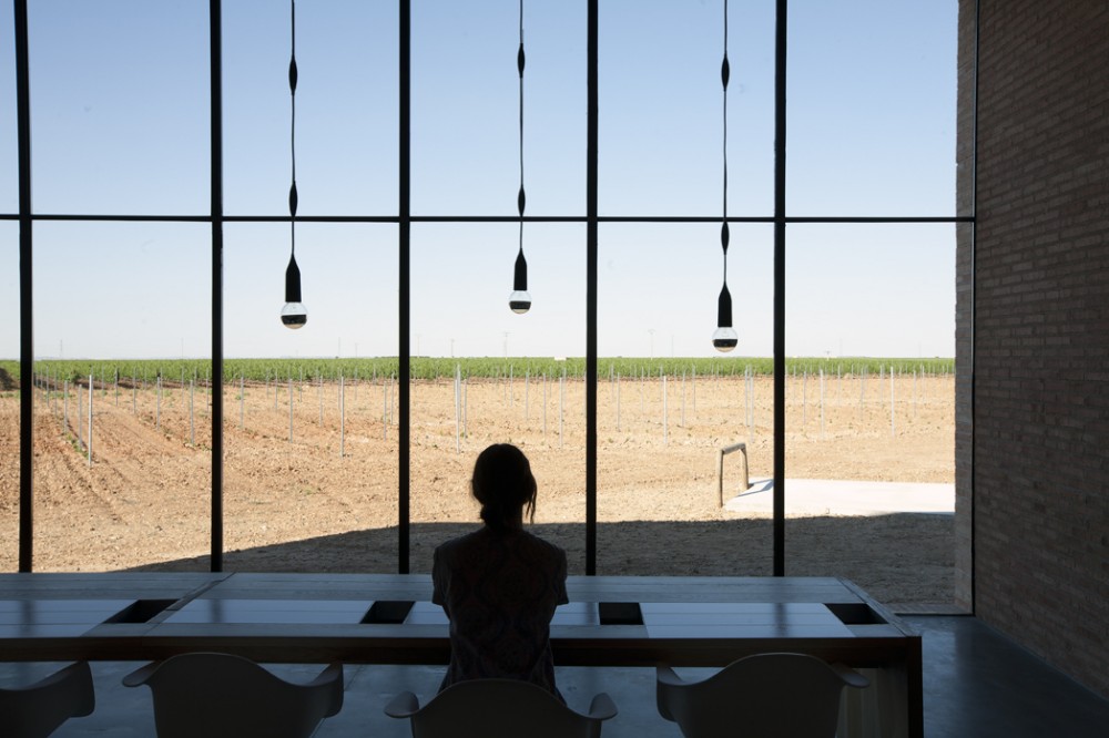 Montepedroso Wineyards / 3.14GA
