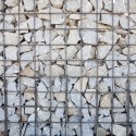 Jara_varelaimg_8757