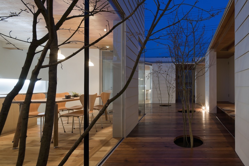 Sky Catcher House / acaa