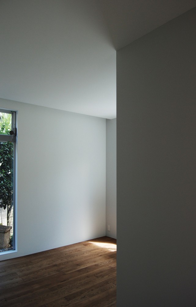 T-House / Satoru Ito Architects