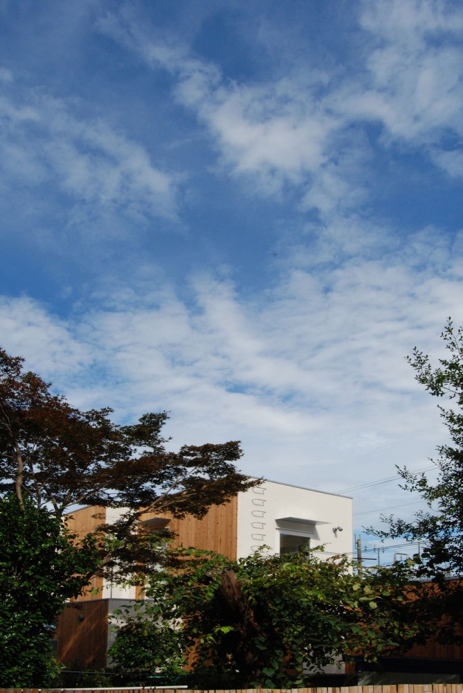 T-House / Satoru Ito Architects