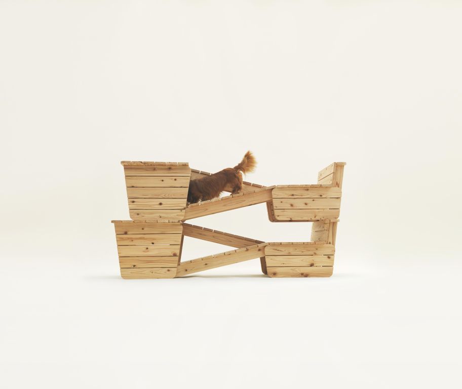 Architecture For Dogs