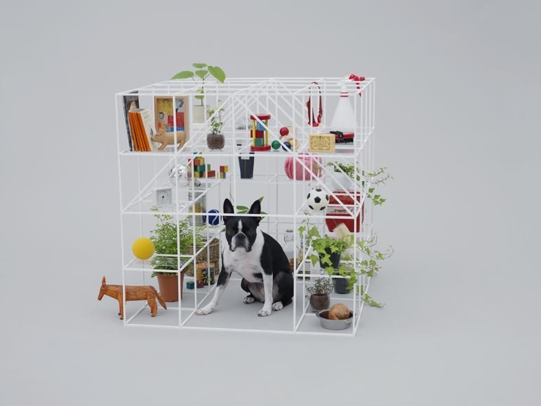 Architecture For Dogs
