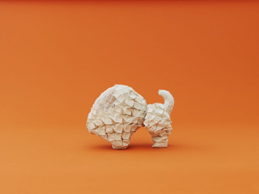 Architecture For Dogs