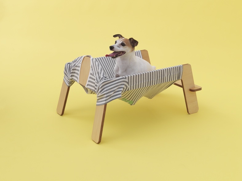 Architecture For Dogs