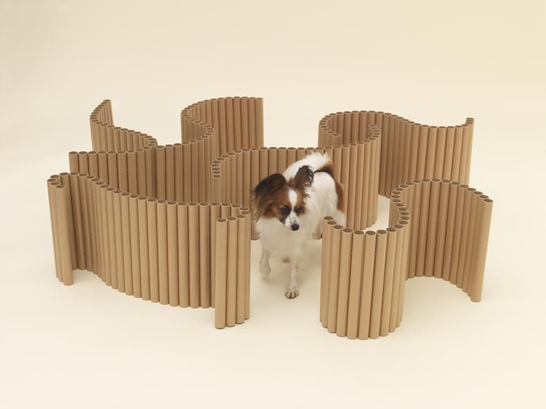 Architecture For Dogs