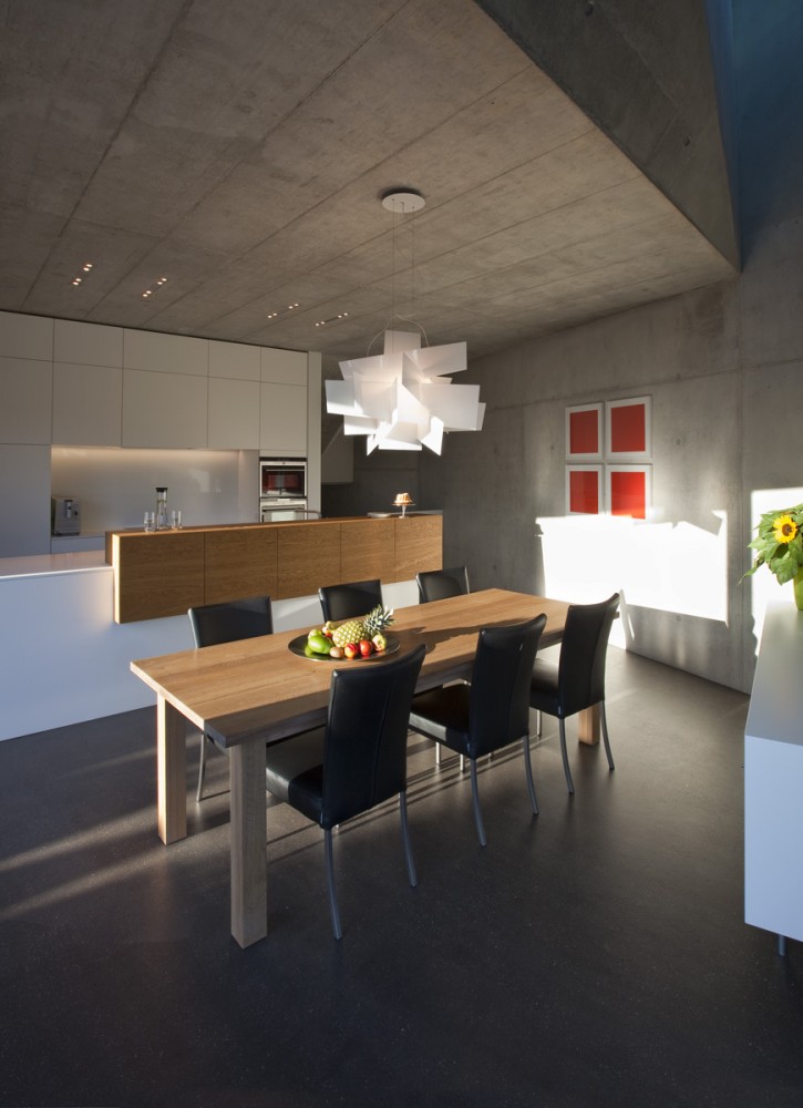 Two Single-Occupancy Detached Houses / L3P Architekten