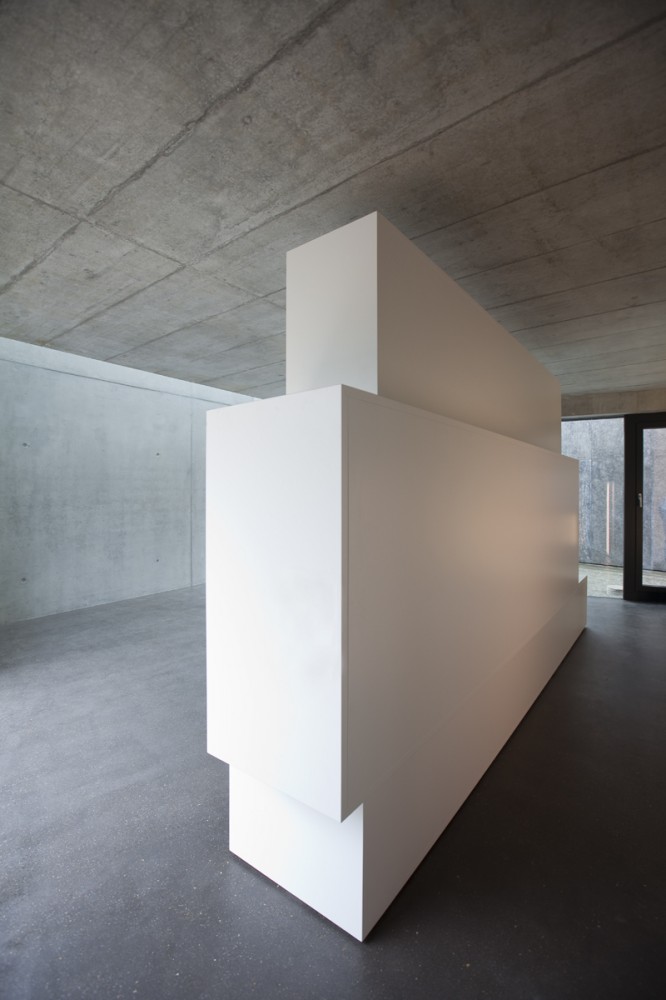 Two Single-Occupancy Detached Houses / L3P Architekten