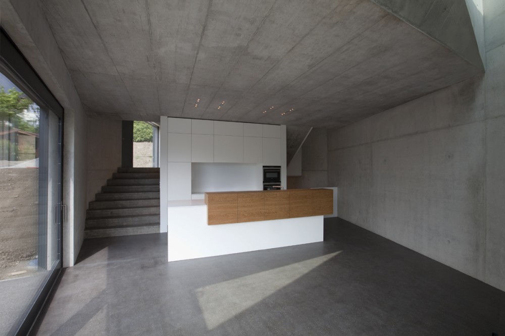 Two Single-Occupancy Detached Houses / L3P Architekten