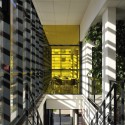 Rockfeller University Restaurant / XTO architectes © Studio Erick Saillet