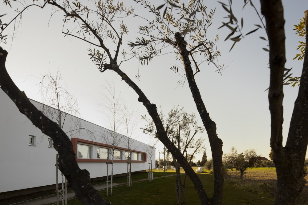 Condeixa Public Library / S&F