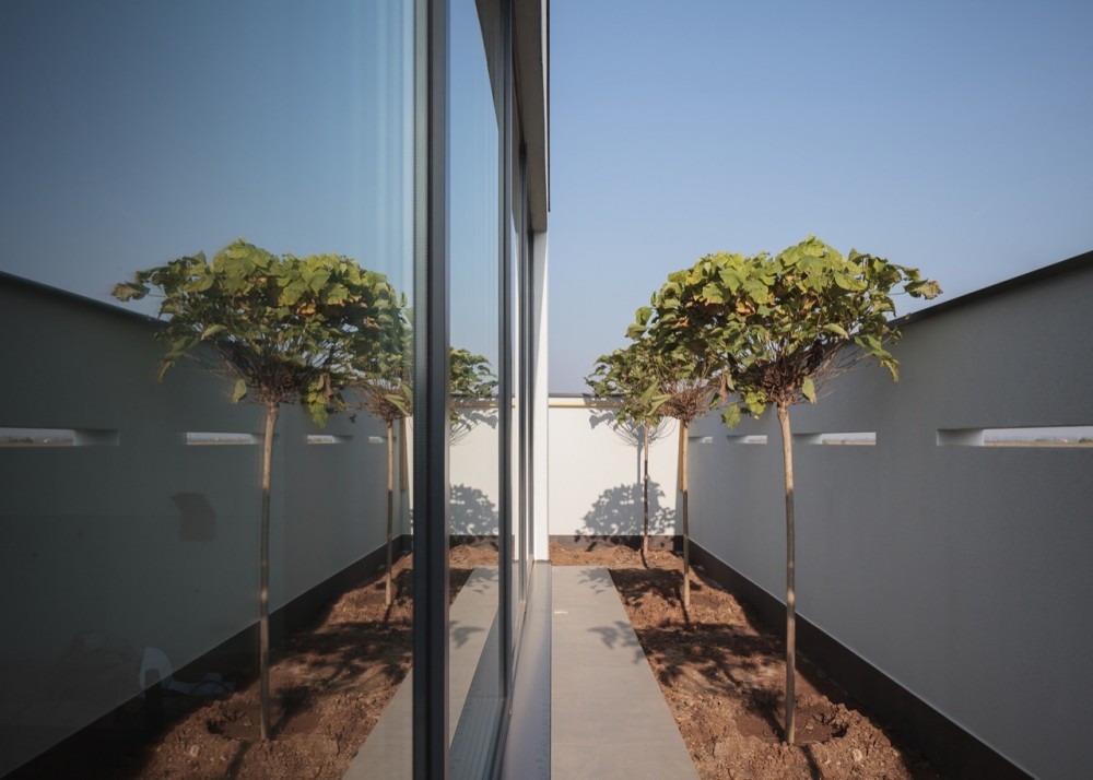 Afumati House / Manadelucru