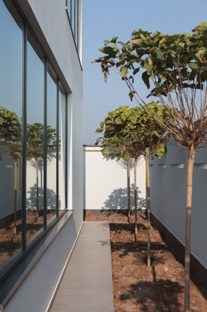 Afumati House / Manadelucru