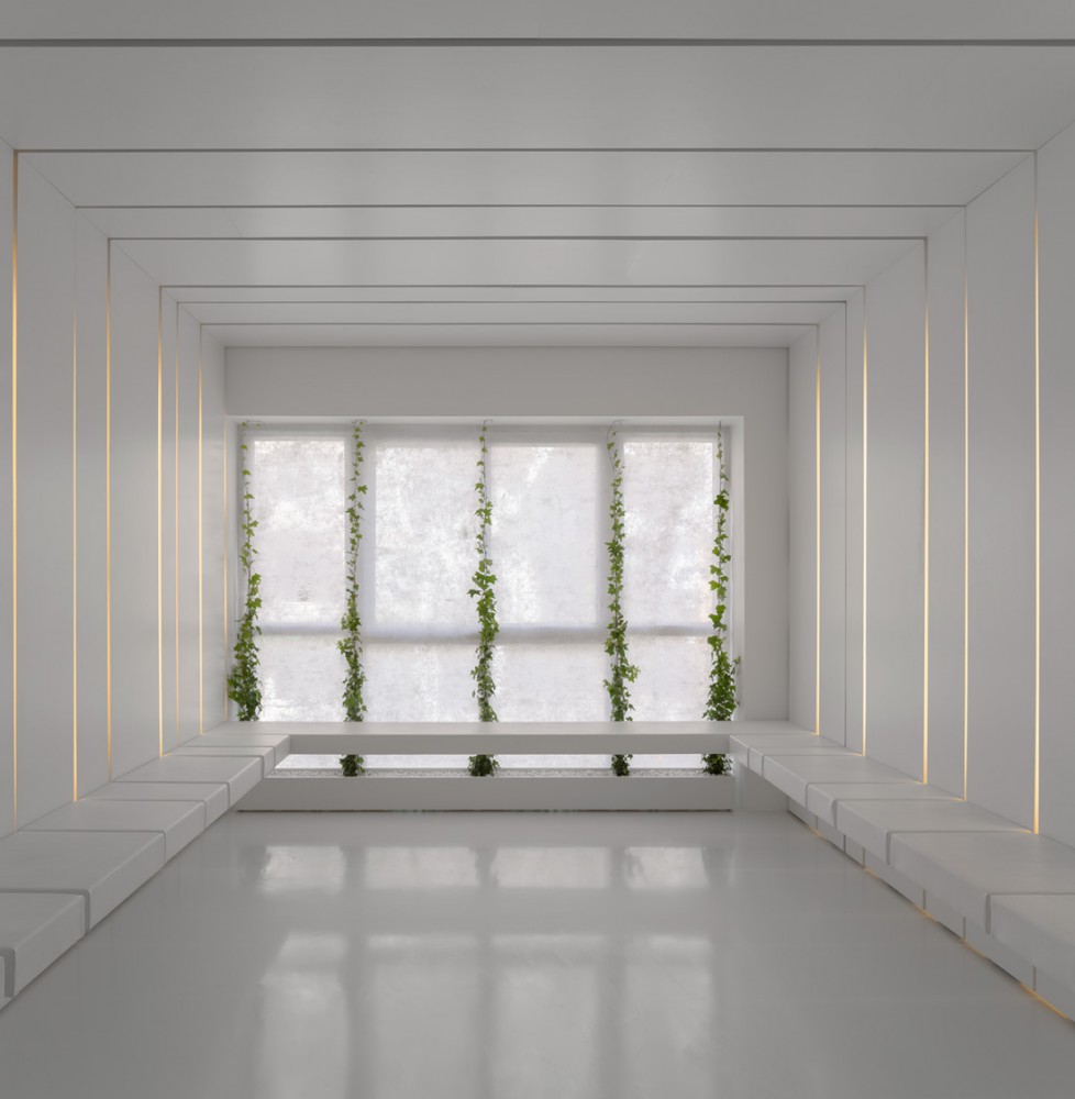 Dental Clinic / MMVARQUITECTO