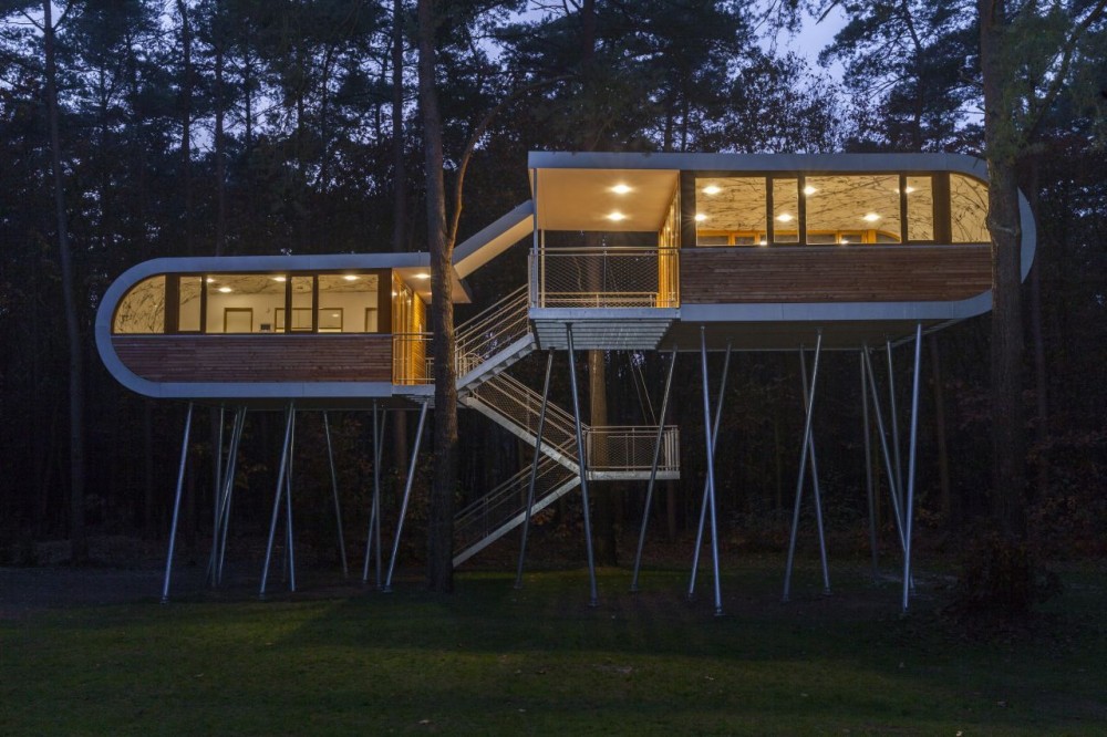The Tree House / Baumraum