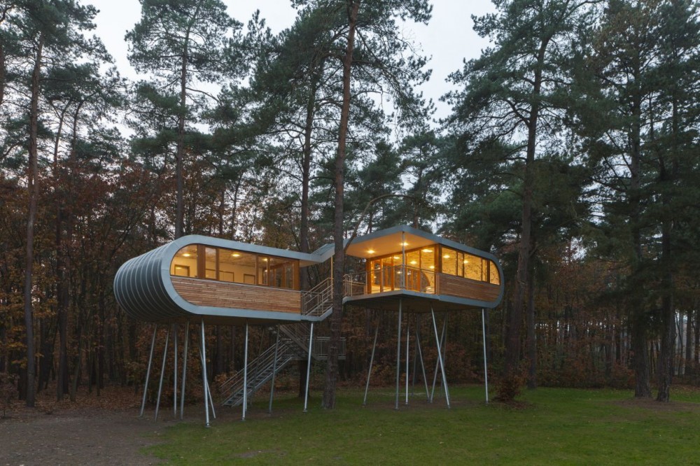 The Tree House / Baumraum