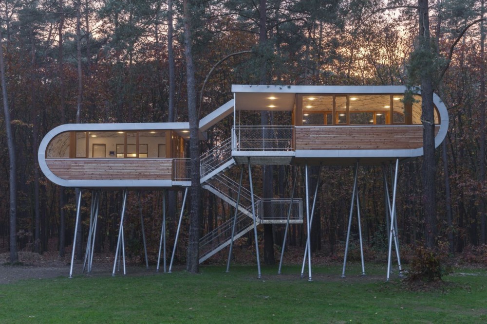 The Tree House / Baumraum