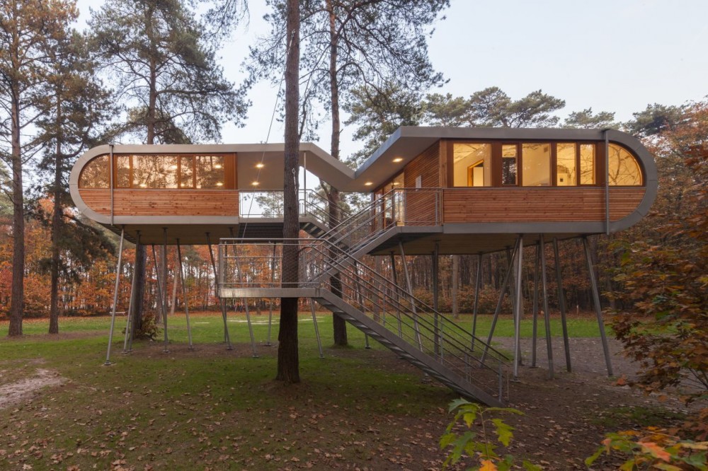 The Tree House / Baumraum