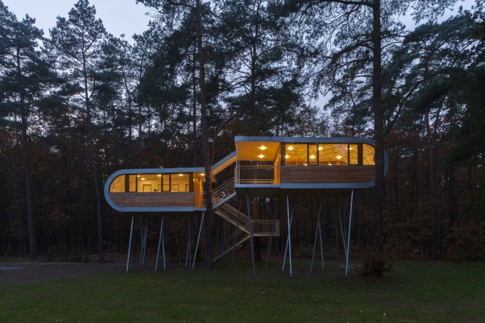The Tree House / Baumraum