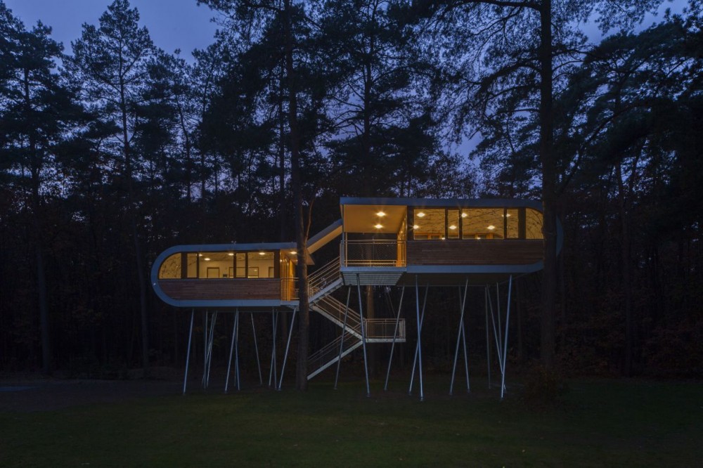 The Tree House / Baumraum