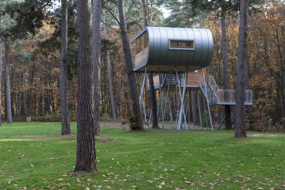 The Tree House / Baumraum