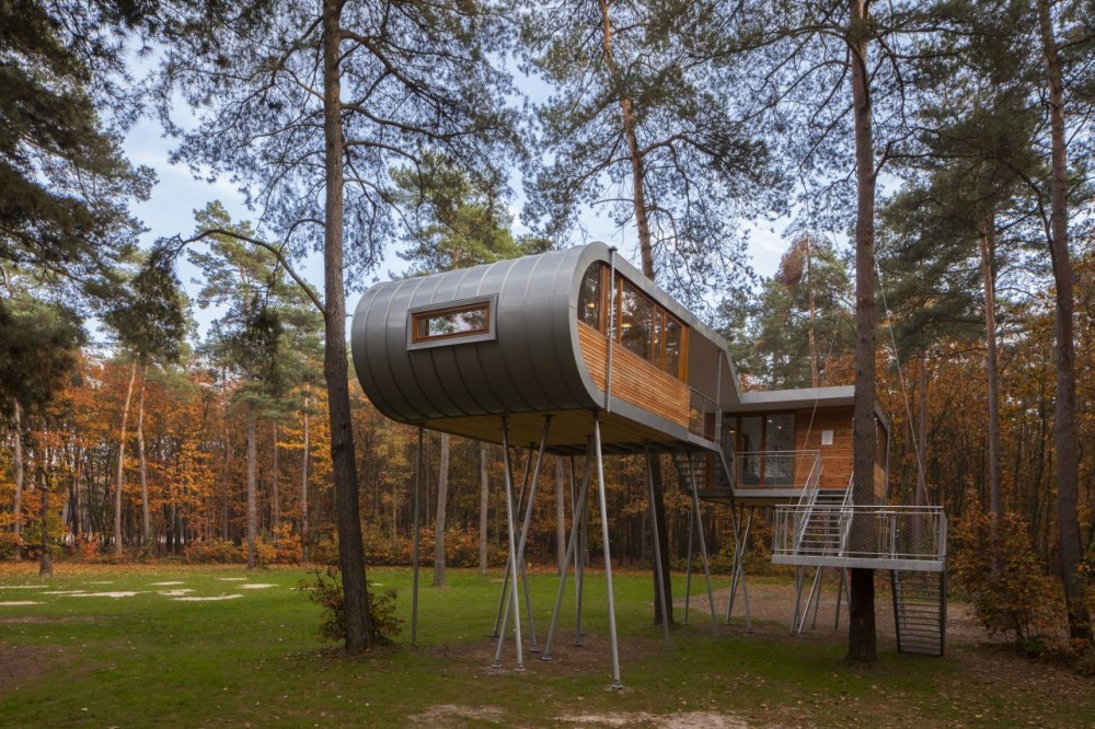 The Tree House / Baumraum