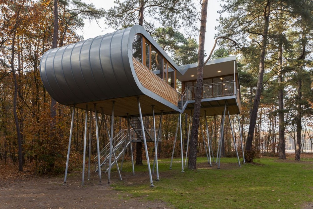The Tree House / Baumraum