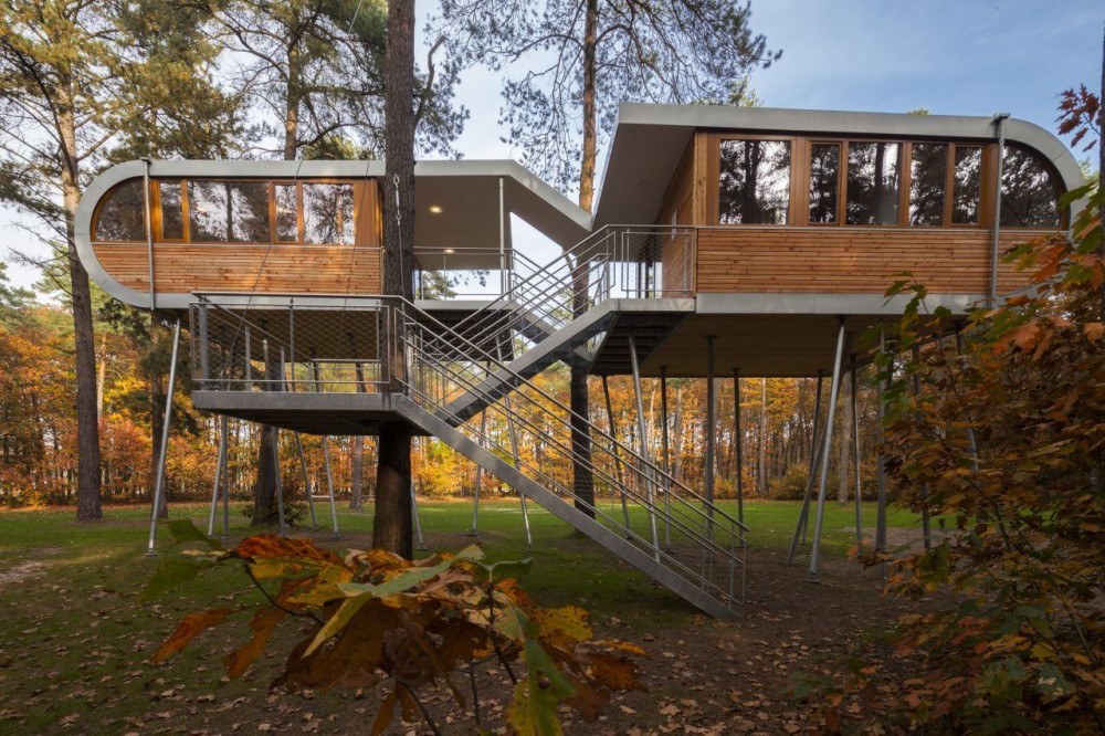 The Tree House / Baumraum