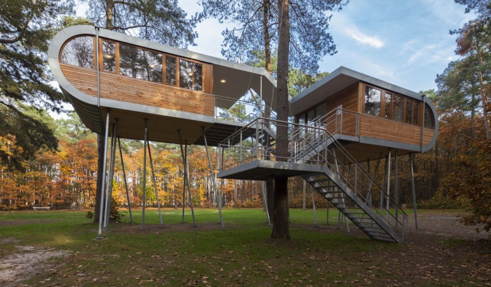 The Tree House / Baumraum