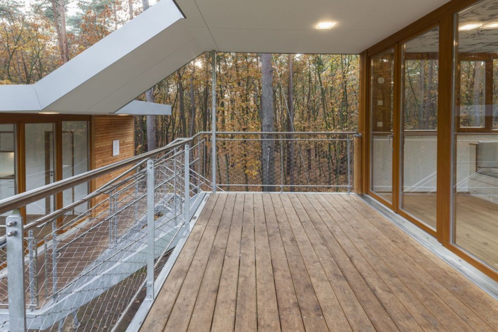 The Tree House / Baumraum
