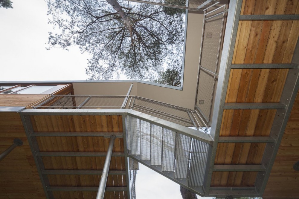 The Tree House / Baumraum
