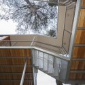 The Tree House / Baumraum © Markus Bollen