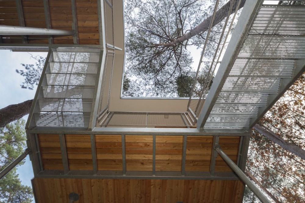 The Tree House / Baumraum