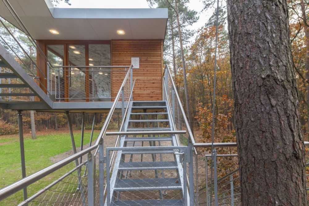 The Tree House / Baumraum