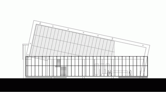 Elevation