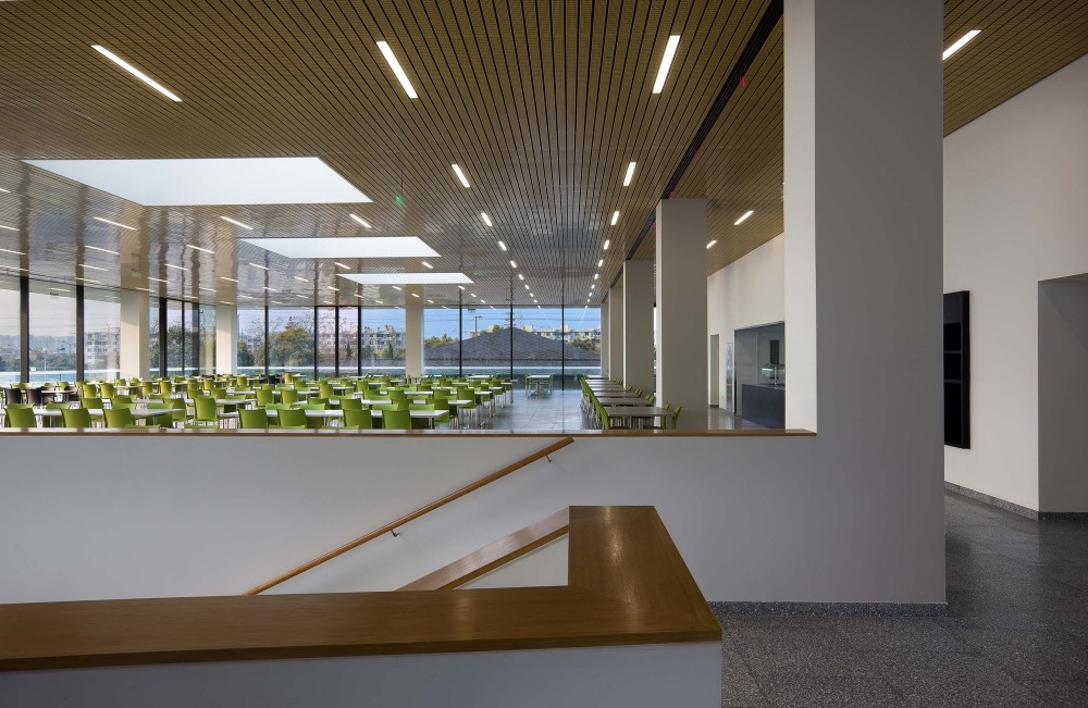 Roche Canteen / EXH Design