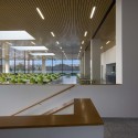 Roche Canteen / EXH Design Courtesy of EXH Design