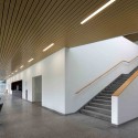 Roche Canteen / EXH Design Courtesy of EXH Design