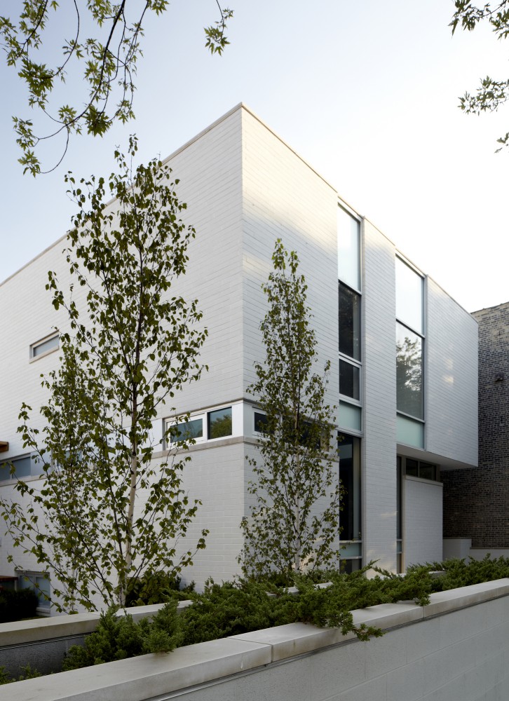 Bucktown Three / Studio Dwell Architects