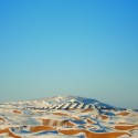 Xiangshawan Desert Lotus Hotel / PLaT Architects Xiangshawan Desert Lotus Hotel / PLaT Architects Courtesy of PLaT Architects