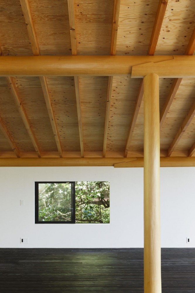 T House / Tsushima Design Studio