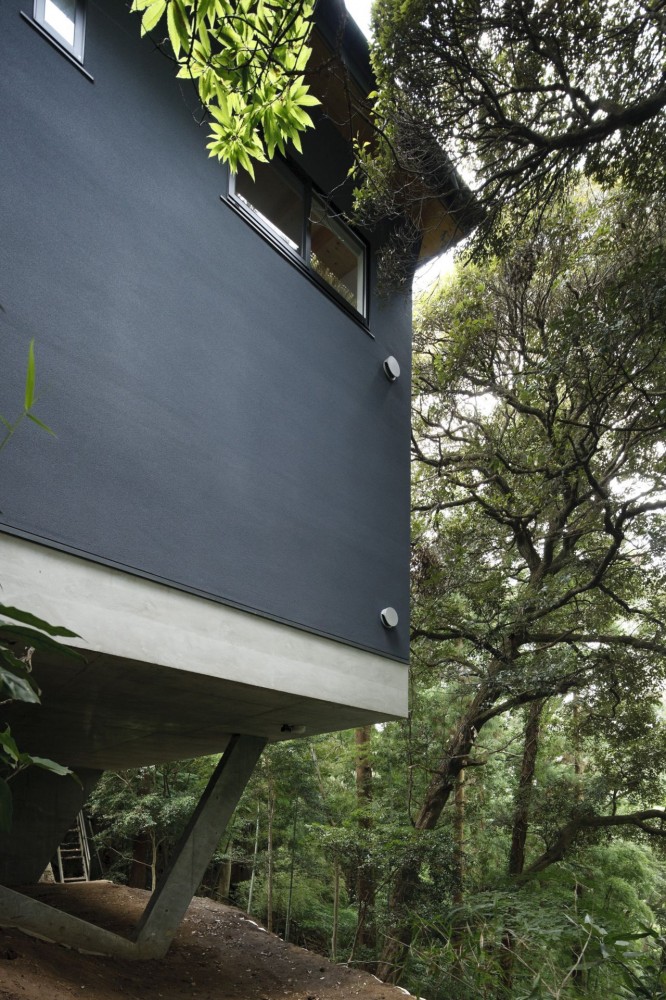 T House / Tsushima Design Studio