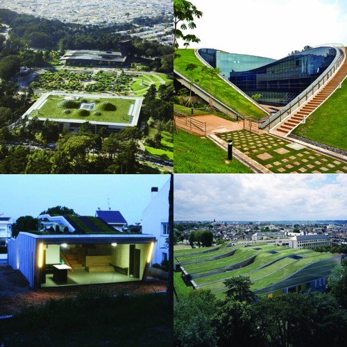 Green Roofs