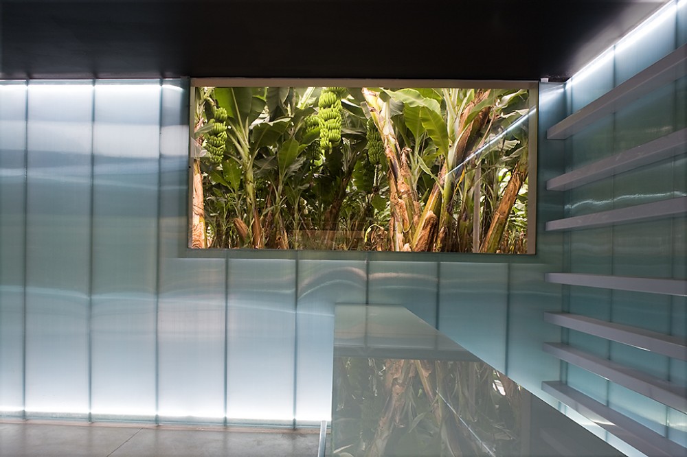 Multipurpose Hall Finca del Lomo / Equipo Olivares Arquitectos