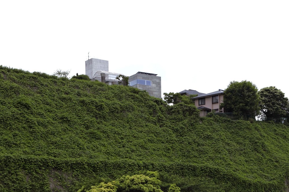 Planter House / no.555